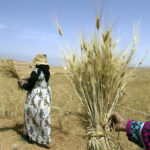 ATIDI mise sur la finance climatique pour protéger les investissements en Afrique