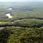 Cameroun : l’orpaillage provoque une crise climatique à l’Est du pays