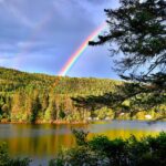 Le Cameroun adopte une fiscalité environnementale plus ferme en 2026