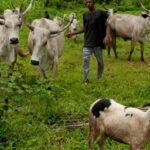 La BAD investit 4 millions USD pour le climat en Afrique